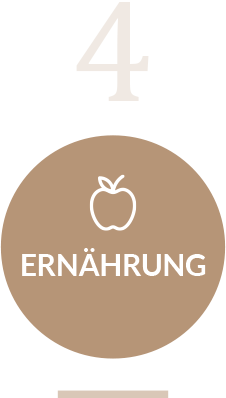 Symbol Ernährung
