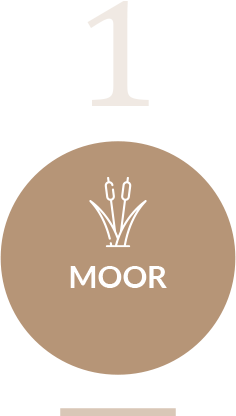 Symbol Moor