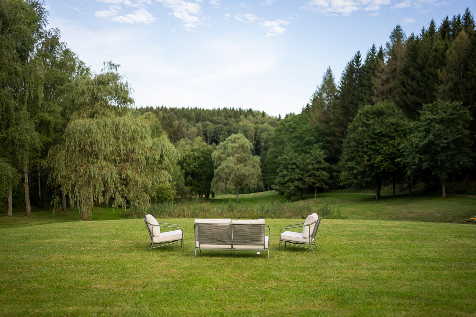 Ausblick in den Wald an einem Sommertag