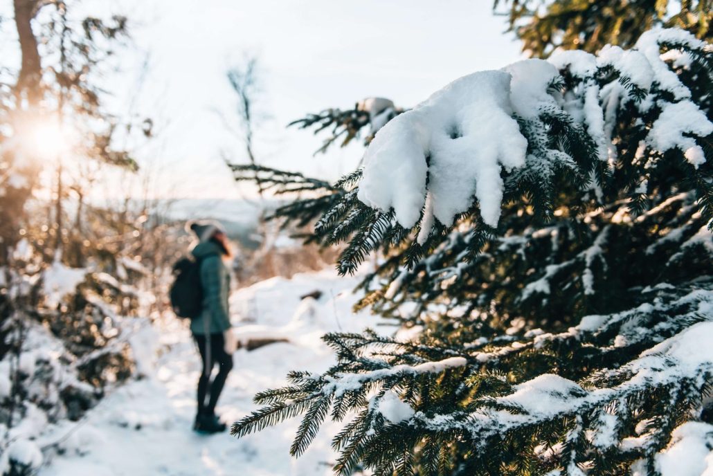 Winterwanderung_9520 Verschneite Tannen im Vordergrund und eine Person bei einem Winterspaziergang auf einem schneebedeckten Waldweg im warmen Licht der tief stehenden Wintersonne.